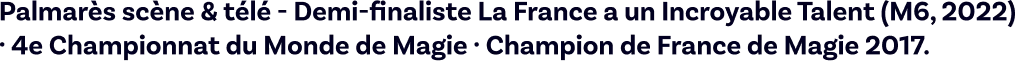 Palmarès scène & télé - Demi-finaliste La France a un Incroyable Talent (M6, 202